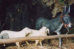 Presepe-2002-Presepe-nella-tradizione10