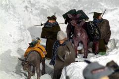 Presepe-2006-Natale-al-fronte23