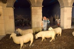 Presepe-2007-La-vita-del-Bambin-Gesù30