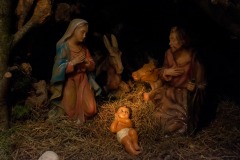 Presepe-2021-Dove-nasce-Gesu-nasce-la-speranza-16