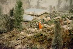 Presepe-2021-Dove-nasce-Gesu-nasce-la-speranza-9