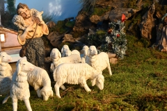 Presepe-2025-In-cammino-coi-pastori-1